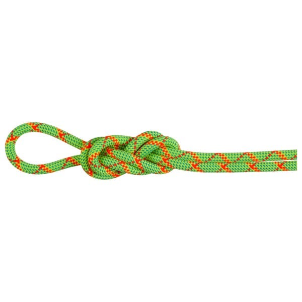 Mammut 8.0 Alpine Core Protect Dry
