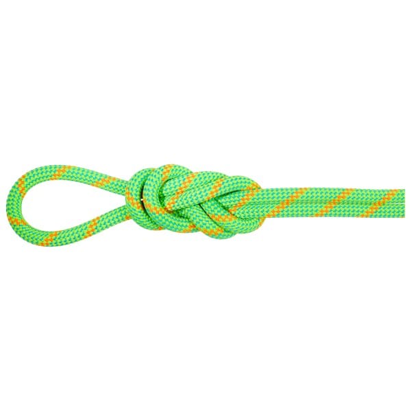 Mammut 8.0 Alpine Dry