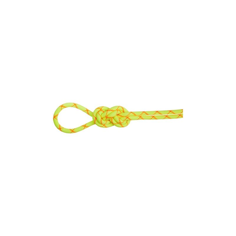 Mammut Alpine Core Protect 9.5